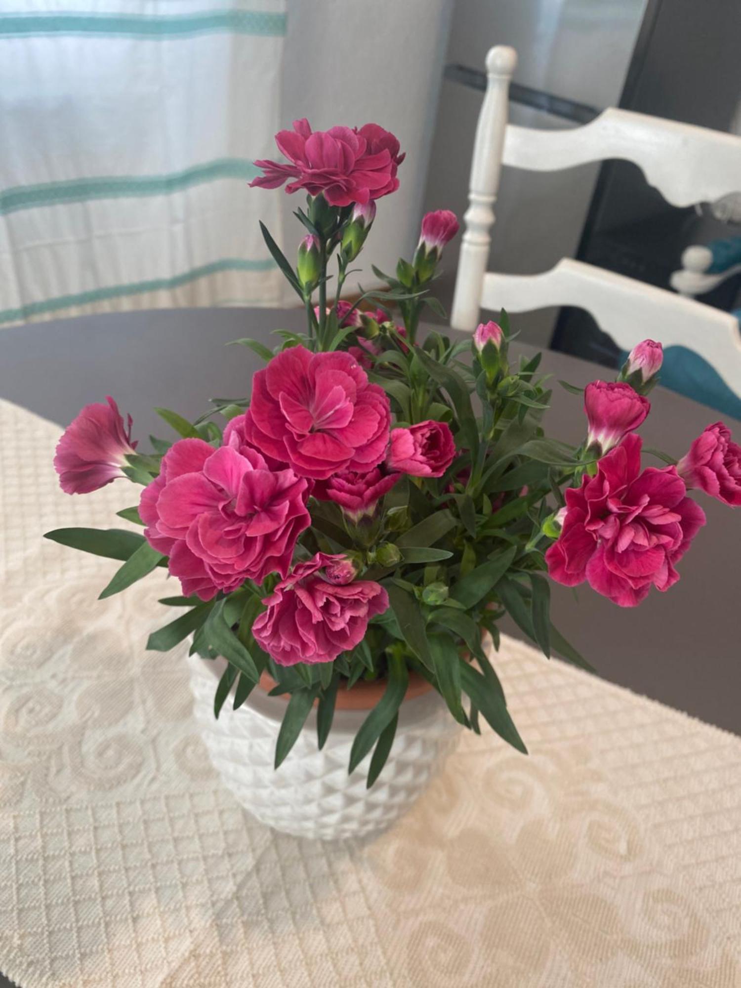 Montes Apartment Доргали Екстериор снимка